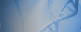The Importance of Balanced Methylation and its Relationship to NAD+