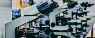 A Closer Look into One of Our Clinical Studies